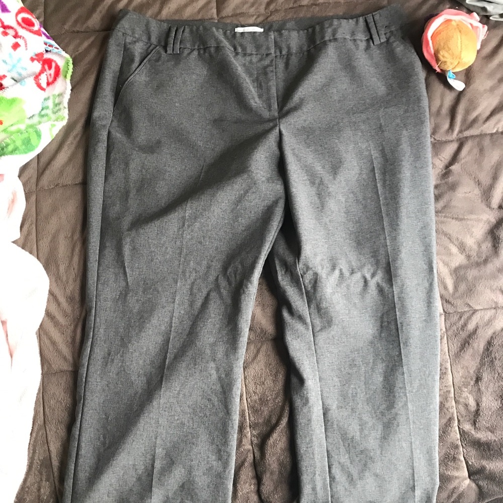 NWOT NY&Co slacks. Gray